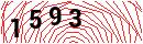 Security Verification