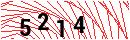 Security Verification