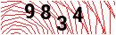 Security Verification