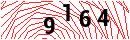 Security Verification