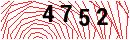 Security Verification