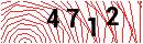 Security Verification