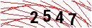 Security Verification