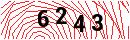 Security Verification