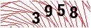 Security Verification