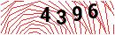 Security Verification