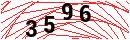 Security Verification
