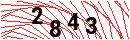 Security Verification