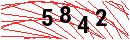 Security Verification
