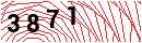 Security Verification