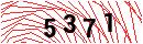 Security Verification