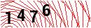 Security Verification