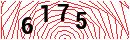 Security Verification