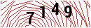 Security Verification