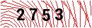 Security Verification