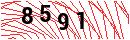 Security Verification