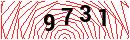Security Verification