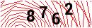 Security Verification