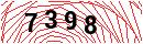 Security Verification