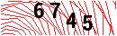 Security Verification