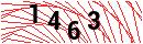 Security Verification