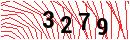 Security Verification