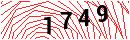 Security Verification