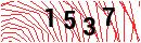 Security Verification