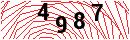 Security Verification
