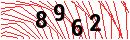 Security Verification