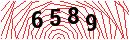 Security Verification