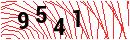 Security Verification
