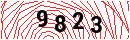 Security Verification