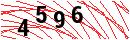 Security Verification