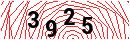 Security Verification