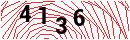 Security Verification