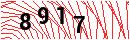Security Verification
