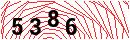 Security Verification