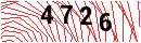 Security Verification