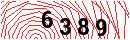 Security Verification
