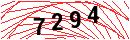 Security Verification