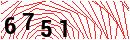 Security Verification