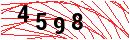 Security Verification