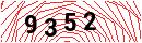 Security Verification