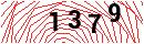 Security Verification
