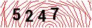 Security Verification