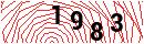 Security Verification