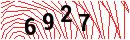Security Verification