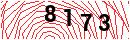 Security Verification