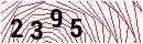 Security Verification